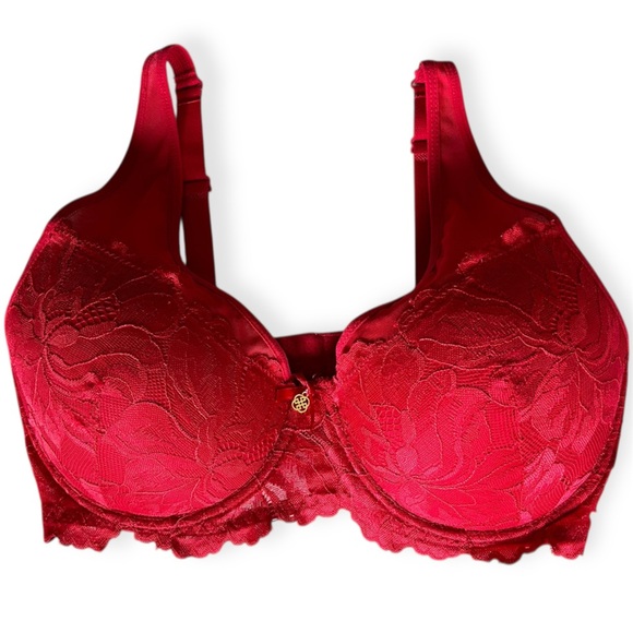 Daisy Fuentes Other - Daisy Fuentes Bra Red Lace women’s size 38D